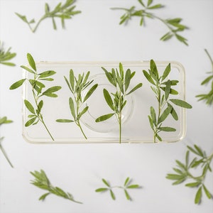Oleander branch ,Pressed flower,dried flowers,dry flowers,flower,pressed nat,dried flowers for resin,dried flower,dry flowers for resin