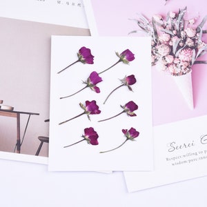 Rose Pressed flowers,dried flowers,dry flowers,flowers,pressed natural flower,dried flowers for resin,dried flower,dry flowers for resin