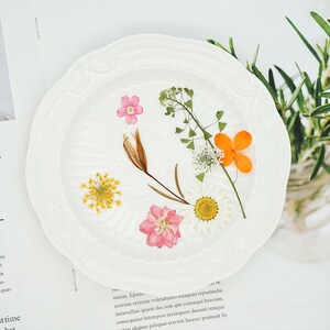 Mixed pressed flower,Pressed flower,dried flowers,dry flowers,flowers,pressed nat,dried flowers for resin,dried flower,dry flowers for resin