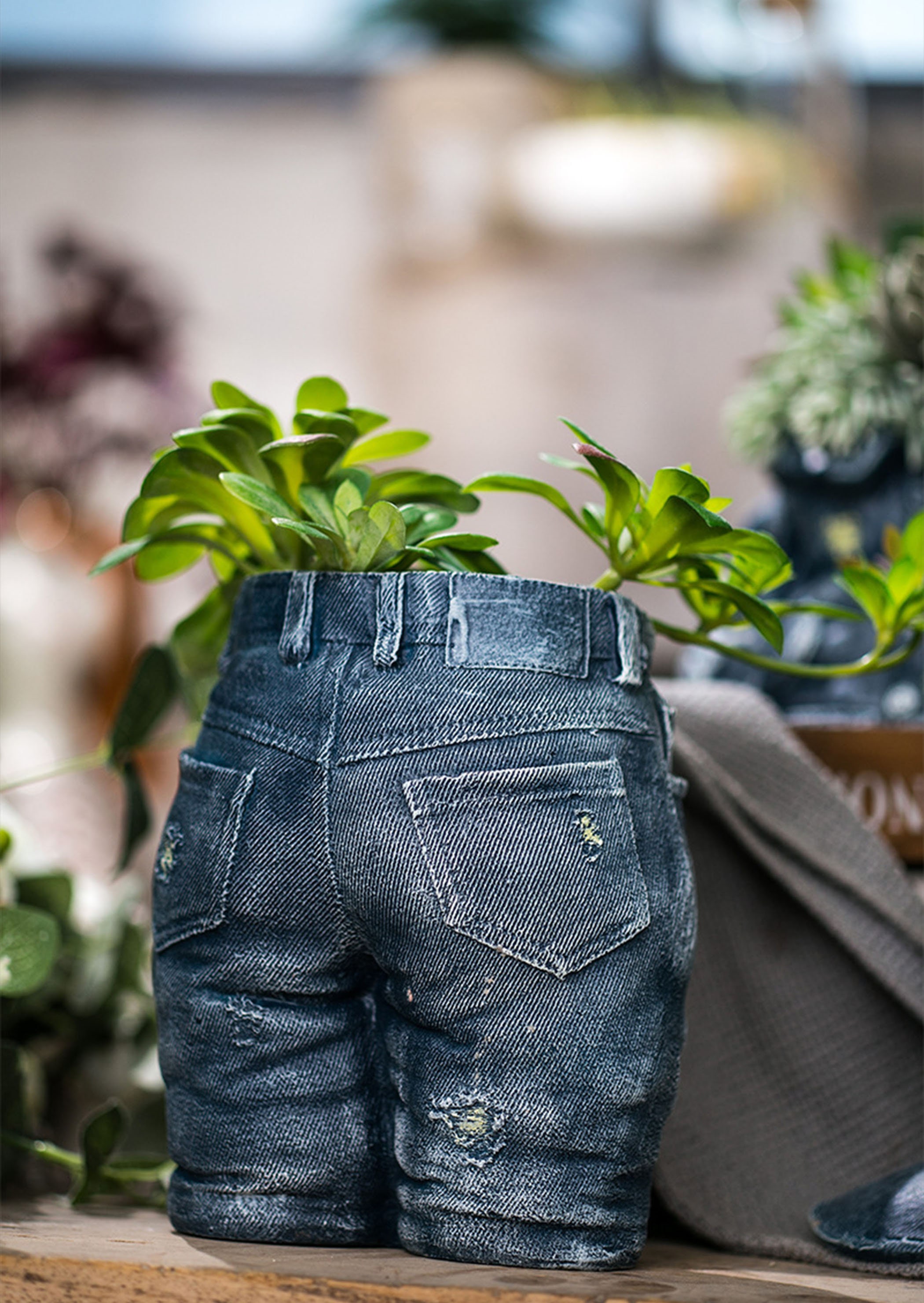 Indoor Planters-Jeans flowerpot 3 pcs jeans flowerpotPlant | Etsy