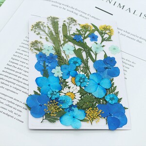 Mixed pressed flower,Pressed flower,dried flowers,dry flowers,flowers,pressed nat,dried flowers for resin,dried flower,dry flowers for resin