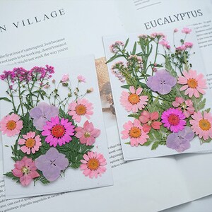 Mixed pressed flower,Pressed flower,dried flowers,dry flowers,flowers,pressed nat,dried flowers for resin,dried flower,dry flowers for resin