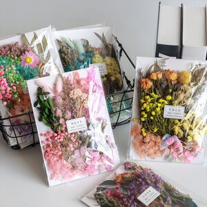 Chirstmas diy mixed pressed flowers,Pressed flowers,dried flowers,dry flowers,dried flowers for resin,dried flower,dry flowers for resin
