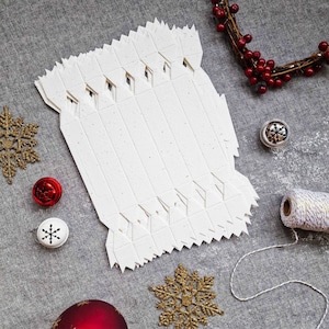 Carta di semi planabile CRACKER DI NATALE - Vendita all'ingrosso - Eco-friendly, Biodegradabile, Sostenibile, Lusso Fai da te Crea il tuo kit