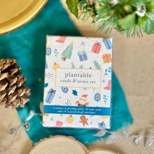 Set di mini biglietti e note PIANTABILE - Allegria natalizia, ecologico, pianta dopo l'uso, fai crescere fiori selvatici, Natale, biglietti di auguri A7, biglietti di auguri