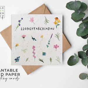 Fleurs en papier pour semences, cartes en papier pour semences, carte imprimée pour semences, cadeau jardinage respectueux de l'environnement - Summertime Meadow - Félicitations (gallois)