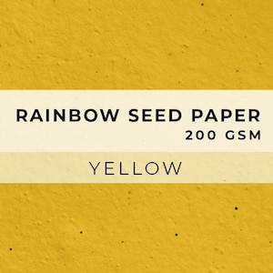 Colored PAPER Sheets, A4 Paper, Flower Seed Paper, LGBTQ Sheet, Eco Friendly Paper, Sustainable RAINBOW Biodegradable image 9