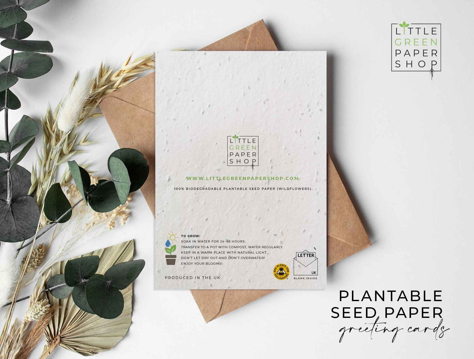 Plantable Flower Seed Paper Cards A6 Thinking of You Love, Miss You,  Friends, Family, Greeting, Gardening, Eco-friendly, Biodegradable 