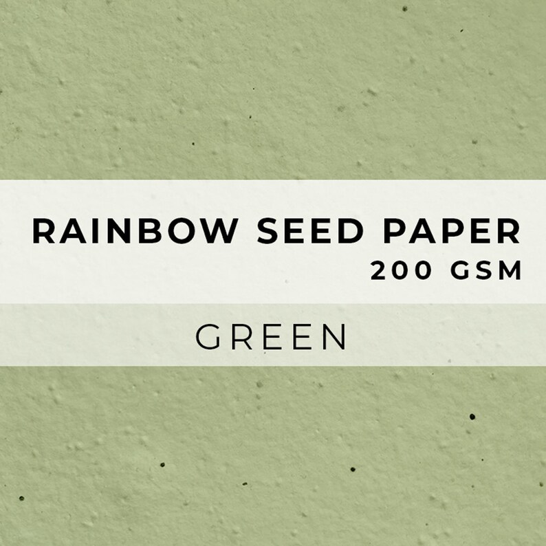 Colored PAPER Sheets, A4 Paper, Flower Seed Paper, LGBTQ Sheet, Eco Friendly Paper, Sustainable RAINBOW Biodegradable image 6