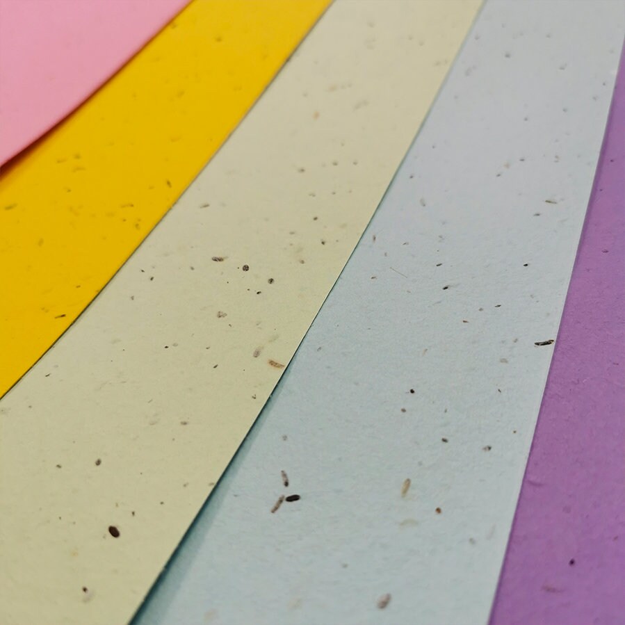 Colored PAPER Sheets A4 Paper Flower Seed Paper LGBTQ Etsy