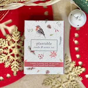 Set di mini biglietti e note PLANTABLE - Pettirossi, ecologico, pianta dopo l'uso, fai crescere fiori selvatici, regalo di Natale, biglietti di auguri A7, biglietti di nota