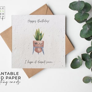 Cartes en papier de graines de fleurs plantables - Drôle - Anniversaire, Félicitations, Bravo, Jeu de mots, Blague, Amis, Famille, Écologique, Biodégradable