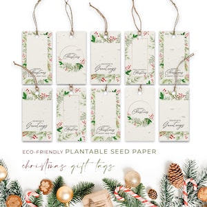 Étiquettes-cadeaux en papier pour graines de plantage, Noël, Noël, biodégradables et écologiques - Houx (paquet de 10)