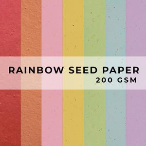 Coloured PAPER Sheets, A4 Paper, Flower Seed Paper, LGBTQ Sheet, Eco Friendly Paper, Sustainable RAINBOW Biodegradable image 1