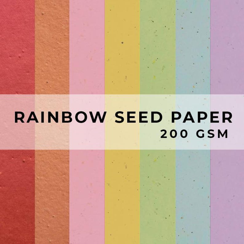 Coloured PAPER Sheets, A4 Paper, Flower Seed Paper, LGBTQ Sheet, Eco Friendly Paper, Sustainable RAINBOW Biodegradable image 1