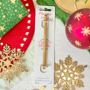 PLANTABLE PENCIL-Eco-friendly pencil with seeds, party bag filler, plant after use, grow wildflowers, eco xmas gift- Let it Snow