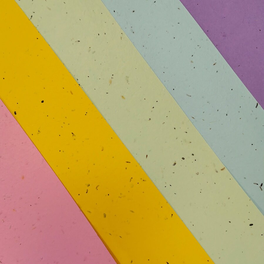 Colored PAPER Sheets A4 Paper Flower Seed Paper LGBTQ Etsy