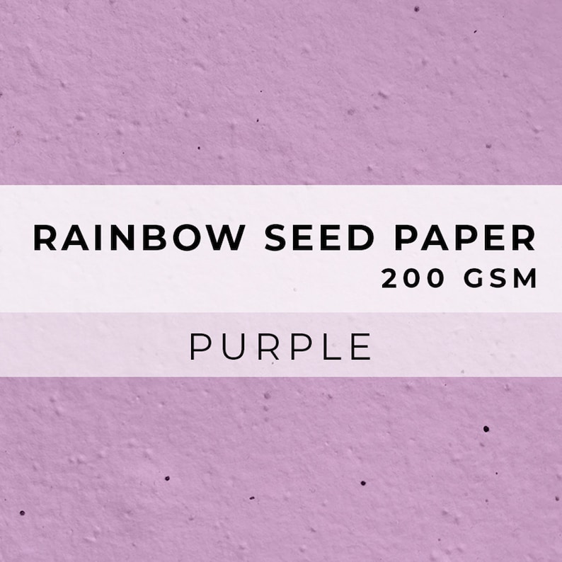 Colored PAPER Sheets, A4 Paper, Flower Seed Paper, LGBTQ Sheet, Eco Friendly Paper, Sustainable RAINBOW Biodegradable image 8