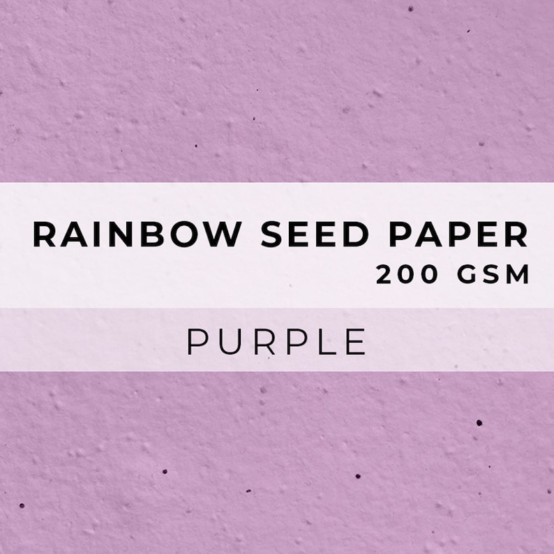 May include: Purple seed paper with the text "RAINBOW SEED PAPER 200 GSM" and "PURPLE" printed on it.