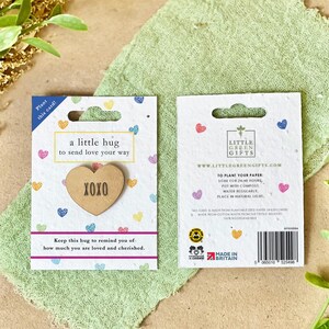 POCKET HUG avec carte à planter - Cœurs arc-en-ciel, respectueux de l'environnement, à planter après utilisation, faire pousser des fleurs sauvages, Saint-Valentin, petit cadeau, cadeau attentionné