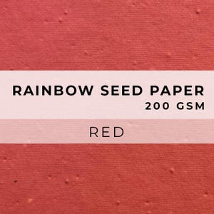 Coloured PAPER Sheets, A4 Paper, Flower Seed Paper, LGBTQ Sheet, Eco Friendly Paper, Sustainable RAINBOW Biodegradable image 8