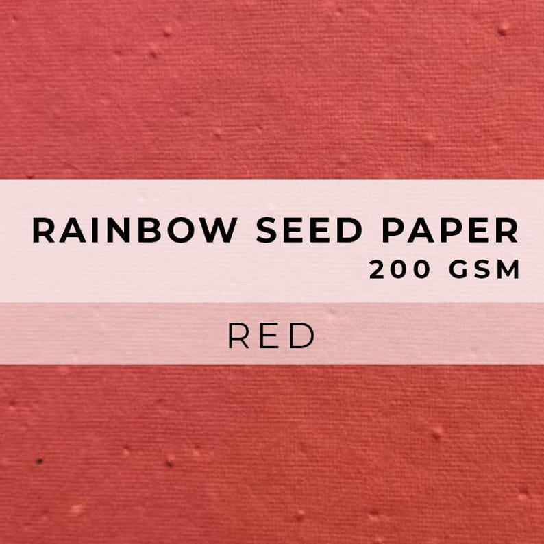 Coloured PAPER Sheets, A4 Paper, Flower Seed Paper, LGBTQ Sheet, Eco Friendly Paper, Sustainable RAINBOW Biodegradable image 8