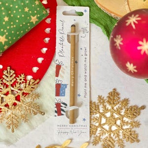 PLANTABLE PENCIL-Eco-friendly pencil with seeds, party bag filler, plant after use, grow wildflowers, eco xmas gift- Candy Canes