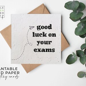 Fleurs en papier semences, cartes en papier semences, carte imprimée semences, cadeau jardinage respectueux de l'environnement - avions en papier - examens de bonne chance