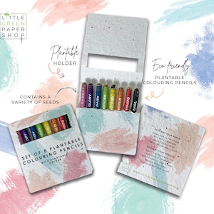 Eco-friendly Recycled Colouring Pencils in Seed Paper Packaging - Watercolour