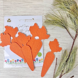 Assorted PLANTABLE seed paper SHAPES (pack of 15) Biodegradable Eco-Friendly - Orange Carrot