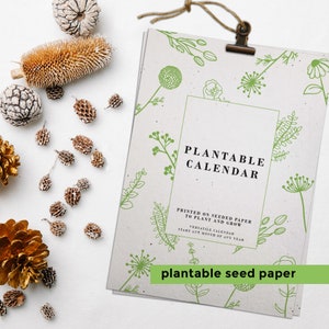 Seed Advent Calendar - Etsy Ireland