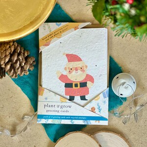 Lot de cartes de voeux PLANTABLE - Christmas Cheer, écologique, à planter après utilisation, à faire pousser des fleurs sauvages, Noël, cartes de voeux A6