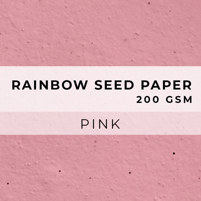 Colored PAPER Sheets, A4 Paper, Flower Seed Paper, LGBTQ Sheet, Eco Friendly Paper, Sustainable RAINBOW Biodegradable image 7