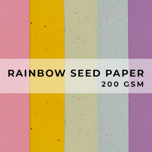 Bunte PAPIERbögen, A4 Papier, BlumenSamenpapier, LGBTQ Bogen, Umweltfreundliches Papier, Nachhaltig REGENBOGEN biologisch abbaubar