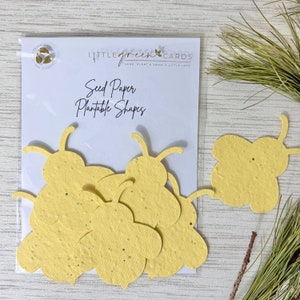 Assortiment de FORMES en papier semences PLANTABLES (paquet de 15) Biodégradable Ecologique - Abeille Jaune