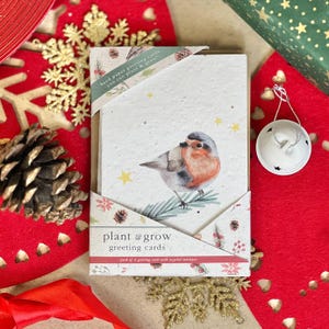 Lot de cartes de voeux à PLANTER - Rouge-gorges, respectueux de l'environnement, planter après utilisation, faire pousser des fleurs sauvages, Noël, cartes de voeux A6, cartes de Noël