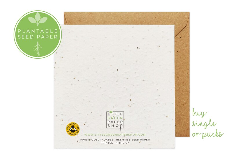 Plantable Flower Seed Paper Cards Sympathy Friends Etsy