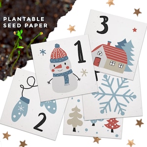 Calendario dell'Avvento 2025 in carta da semi, mini piantabile - Grow Flowers, idea regalo di Natale di lusso - ecologico, biodegradabile, sostenibile
