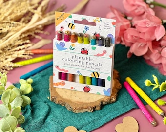 Plantable Colouring Pencil Set – Bug Bonanza! Little Green Gifts - Eco-friendly and plantable gifts that grow!