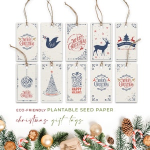 Étiquettes-cadeaux en papier pour graines de plantage, Noël, Noël, respectueux de l'environnement, biodégradables, qu'il neige, paquet de 10