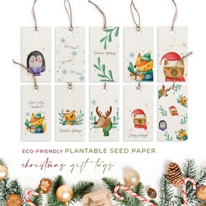 Étiquettes-cadeaux en papier pour graines de plantage, Noël, Noël, biodégradables et respectueuses de l'environnement - Amusement de Noël (paquet de 10)