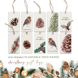 Etiquetas de papel con semillas, ETIQUETAS PARA PLANTAR, Etiquetas colgantes de NAVIDAD, Etiquetas para regalo de Pascua, Etiquetas de semillas de flores silvestres con diseño de petirrojo y Feliz Navidad, Etiquetas con cuerda