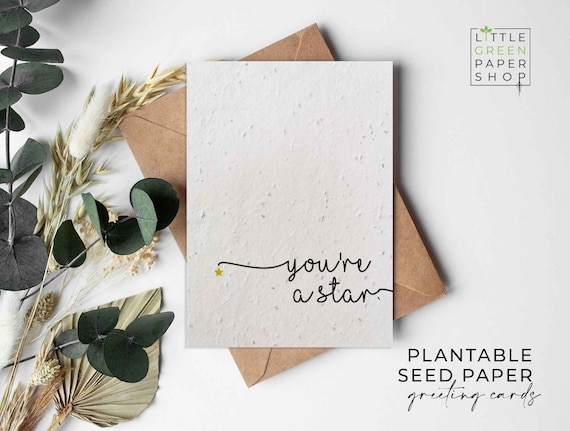 Plantable Flower Seed Paper Cards A6-you're a Star-congratulations, Well  Done, Friends, Family,greeting,gardening,eco-friendly,biodegradable 