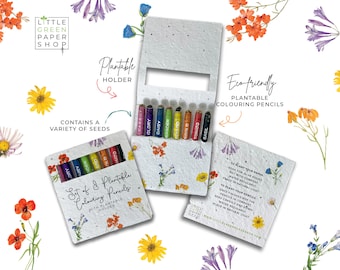 Lápices de colores reciclados y ecológicos en envases de papel con semillas - Flores