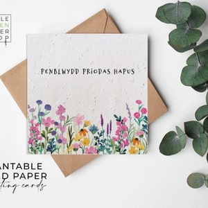 Fleurs en papier pour semences, cartes en papier pour semences, carte imprimée pour semences, cadeau jardinage respectueux de l'environnement - Prairie d'été - Joyeux anniversaire (gallois)