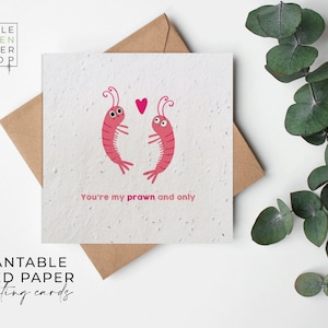 Fleurs en papier semences, Cartes en papier semences, Cartes pour graines de fleurs sauvages à planter, Cartes pour semences imprimées, Cadeau jardinage respectueux de l'environnement - Crevettes uniquement
