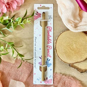 LÁPIZ PLANTABLE: Lápiz ecológico con semillas, regalo considerado, planta después de su uso, cultiva flores silvestres, regalo de San Valentín - Love Bunnies