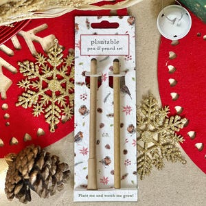 PLANTABLE PEN and PENCIL Set - Robins, eco-friendly, plant after use, grow wildflowers, Christmas, small gift, thoughtful gift, seeded