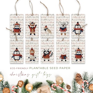 Étiquettes-cadeau en papier pour graines de plantage, Noël, Noël, respectueux de l'environnement, biodégradables, amis festifs (paquet de 10)