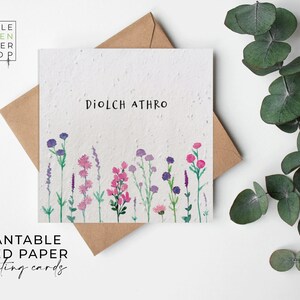 Fleurs en papier semences, cartes en papier semences, carte imprimée pour semences, cadeau de jardinage écologique - Summertime Meadow - Merci professeur (gallois)